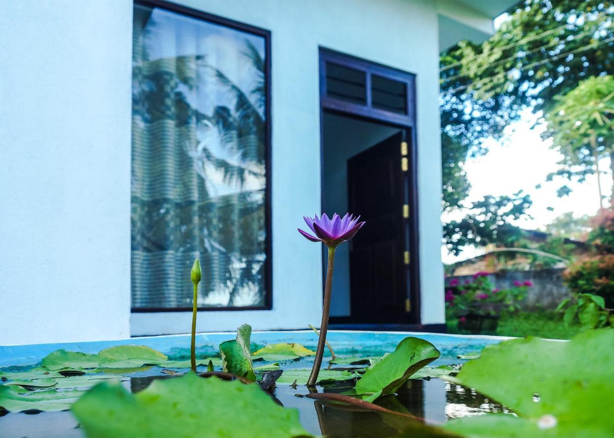 Plantation Inn Weligama Εξωτερικό φωτογραφία