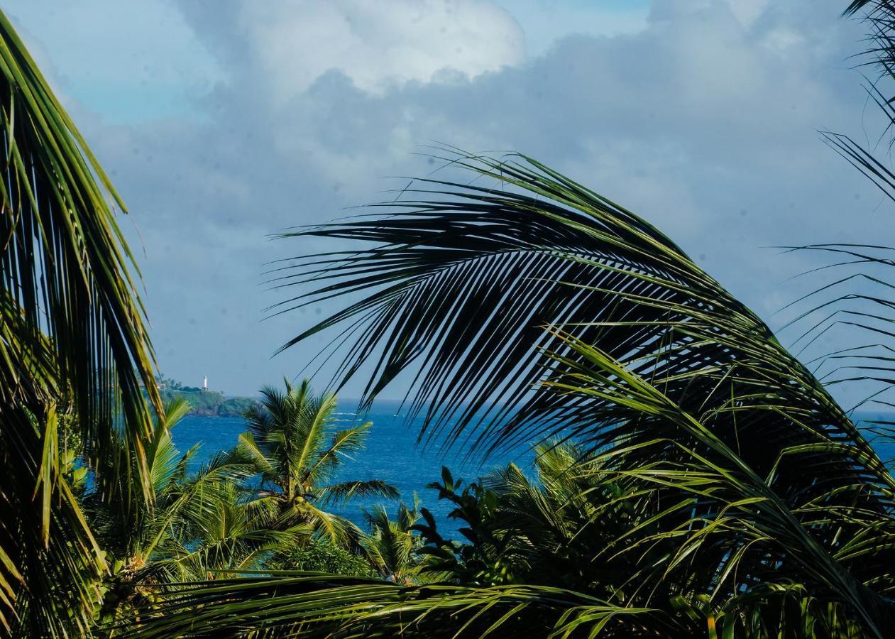 Plantation Inn Weligama Εξωτερικό φωτογραφία