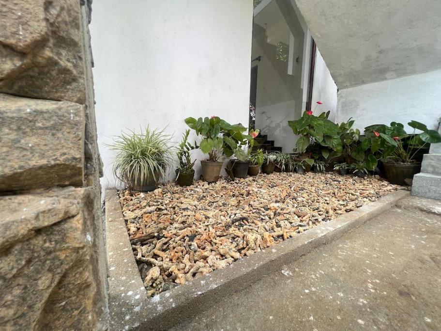Plantation Inn Weligama Εξωτερικό φωτογραφία